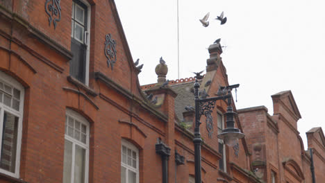 Close-Up-Of-Office-And-Residential-Buildings-In-Bourdon-Street-Mayfair-London-With-Pigeons